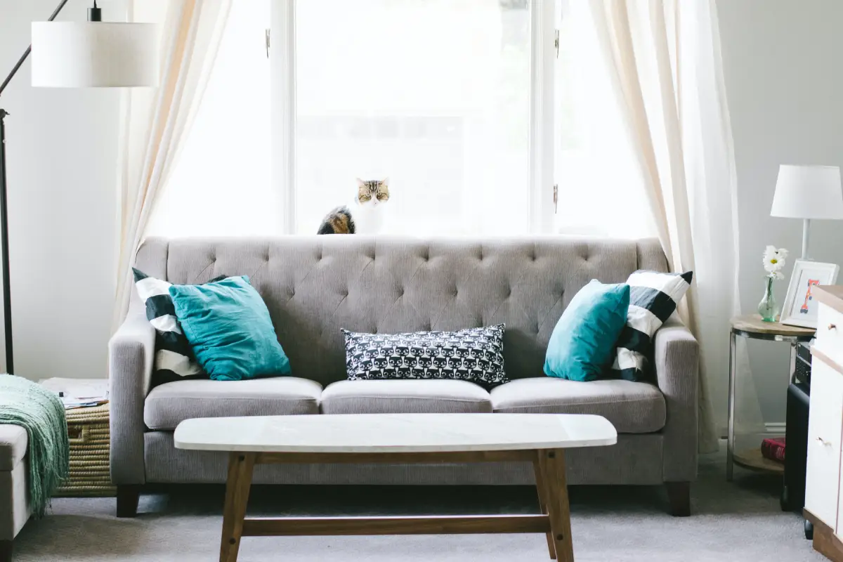 Your Trusted Partner for Customized Furniture Solutions